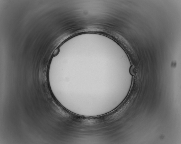 X0000101201177200807251019