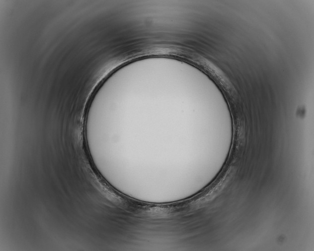 X0000101201178200807251019