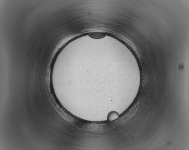 X0000101201179200807251019