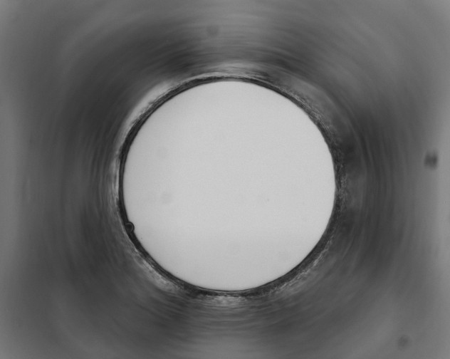 X0000101201180200807251019