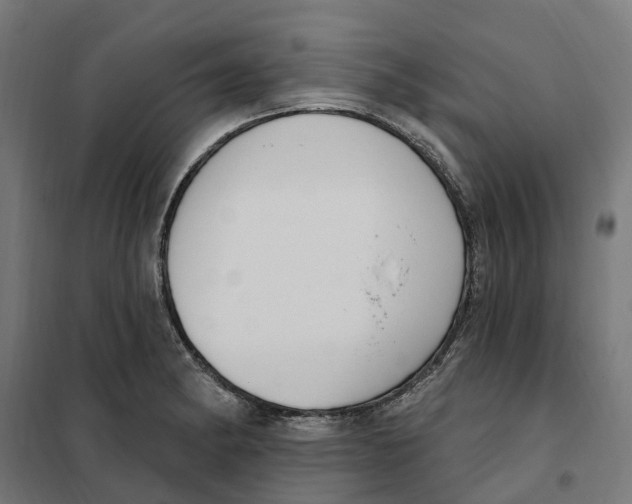 X0000101201182200807251019