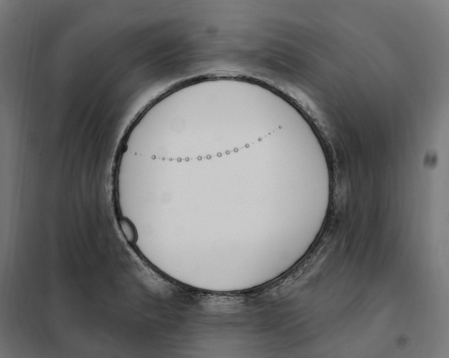 X0000101201183200807251019