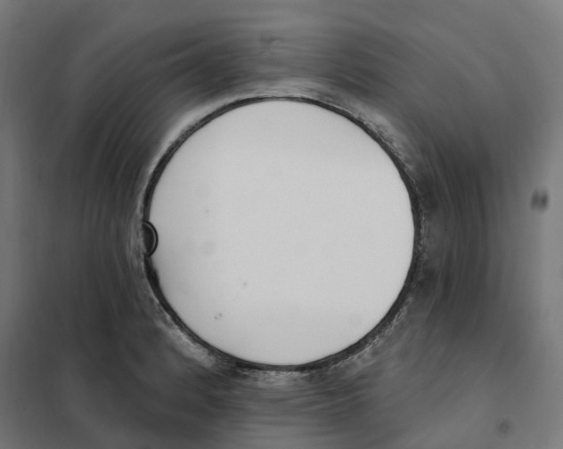 X0000101201184200807251019