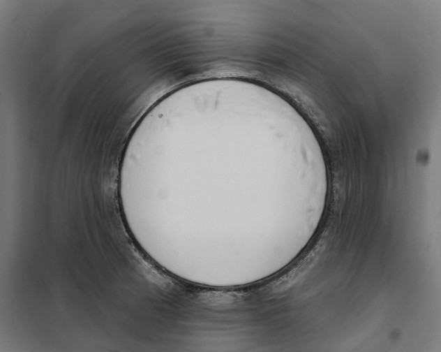 X0000101201185200807251019