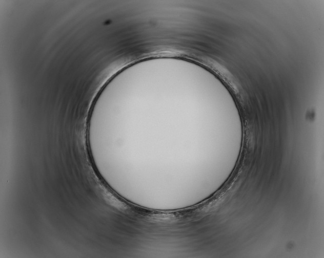 X0000101201186200807251019