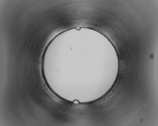 X0000101201187200807251019