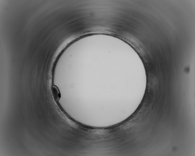 X0000101201188200807251019