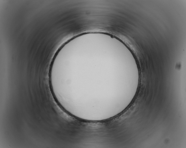 X0000101201189200807251019