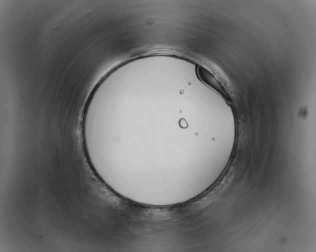 X0000101201190200807251019