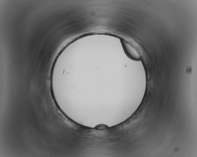 X0000101201191200807251018