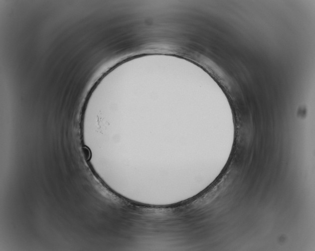 X0000101201192200807251018