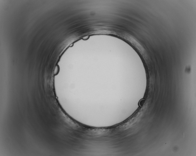 X0000101201193200807251018