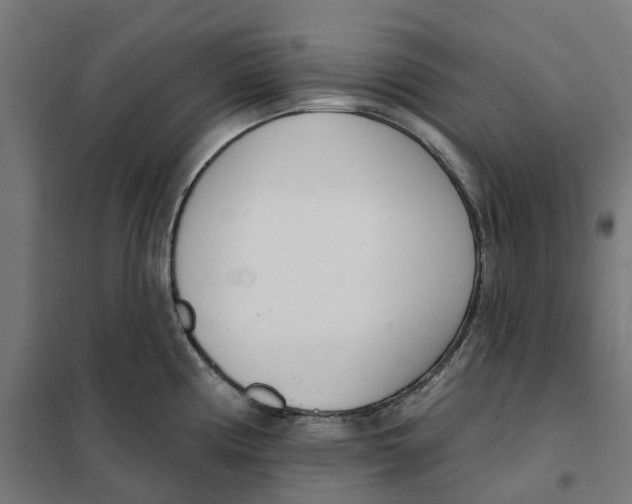 X0000101201194200807251018