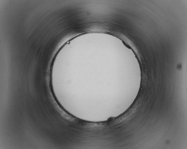 X0000101201195200807251018