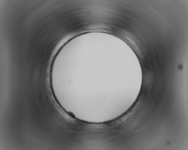 X0000101201196200807251018