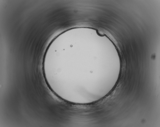 X0000101201197200807251018