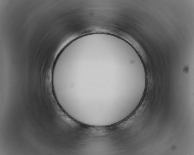 X0000101201198200807251018