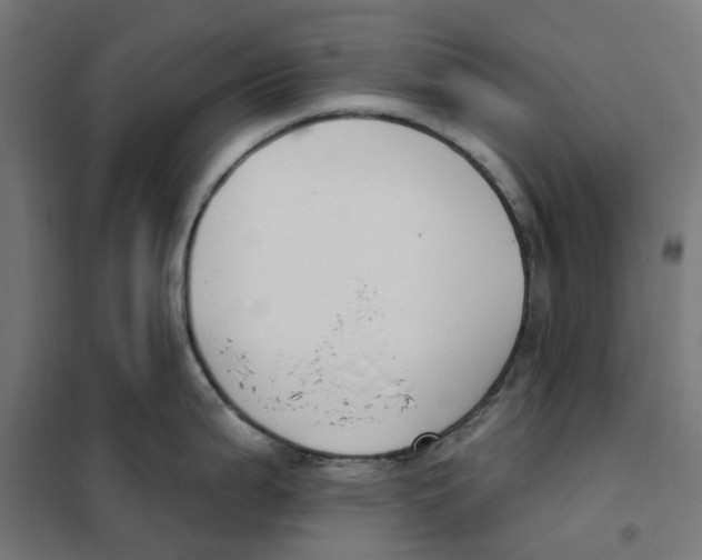 X0000101201199200807251018