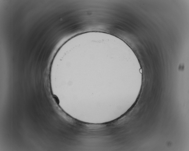 X0000101201200200807251018