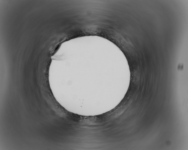 X0000101201201200807251018