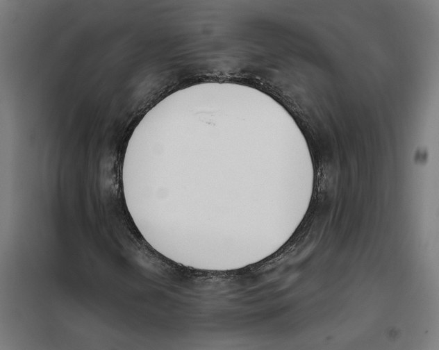 X0000101201202200807251018