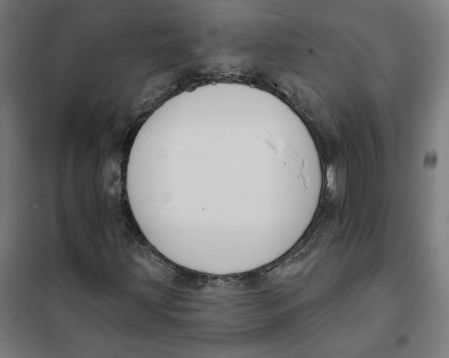 X0000101201203200807251018