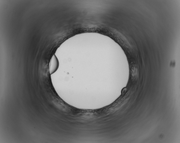 X0000101201204200807251018