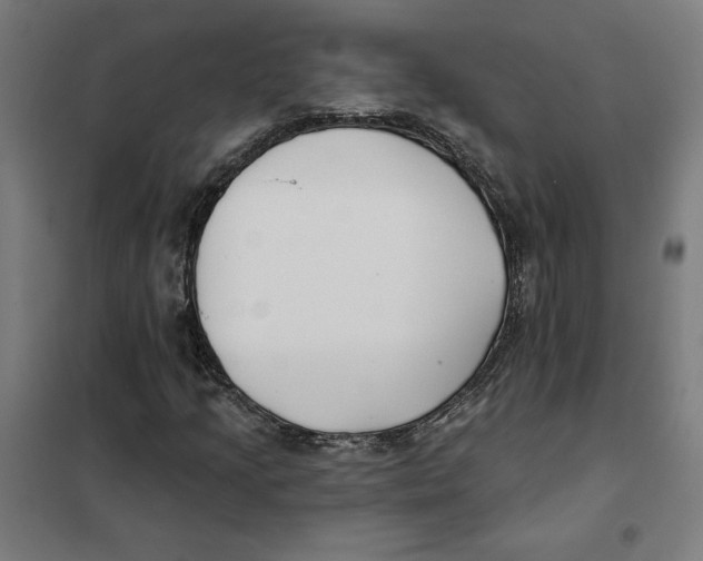 X0000101201205200807251018