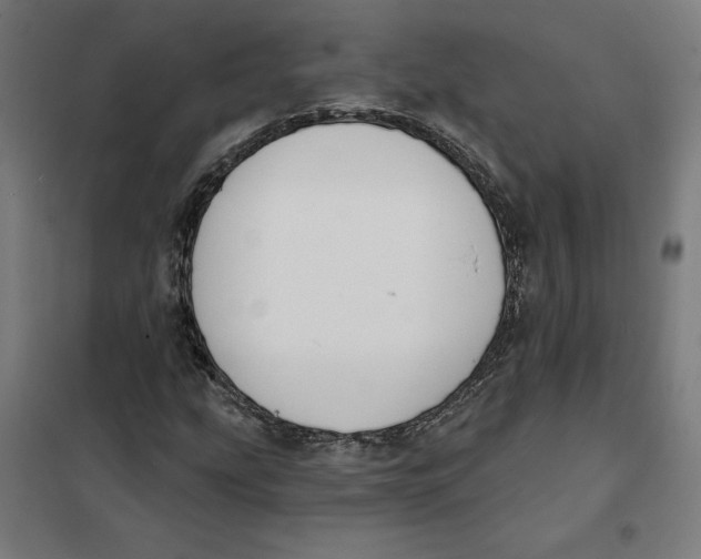 X0000101201207200807251018