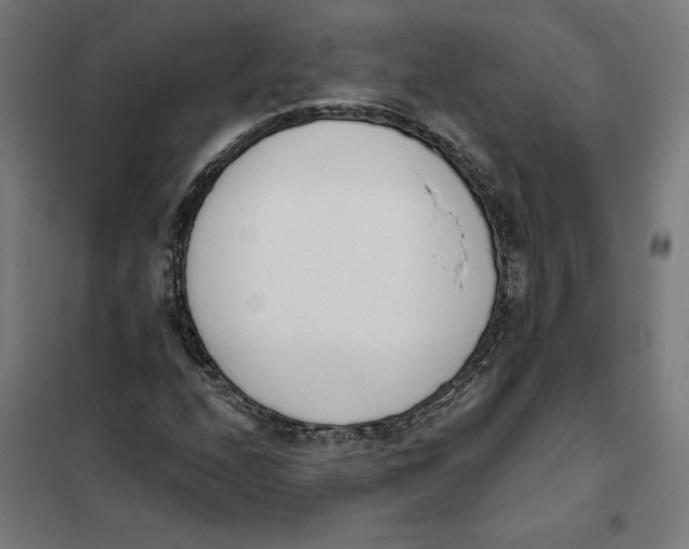 X0000101201208200807251018