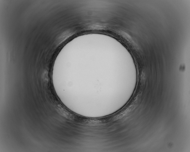 X0000101201209200807251018