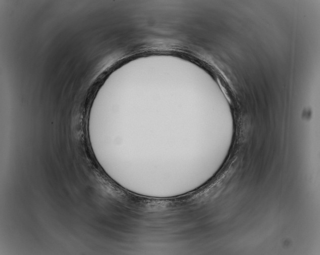 X0000101201211200807251018