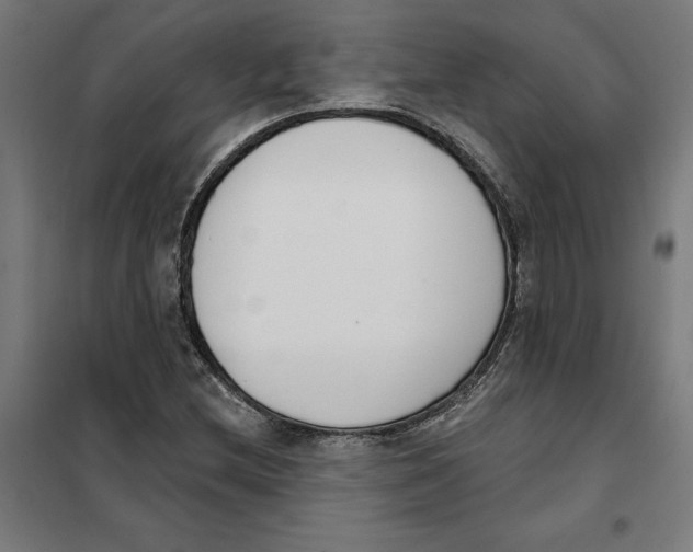 X0000101201212200807251018