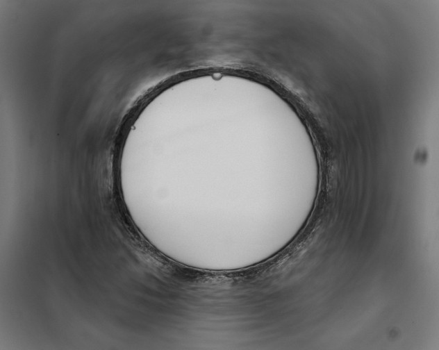 X0000101201214200807251018