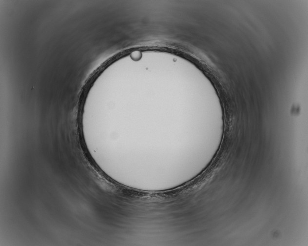 X0000101201216200807251018