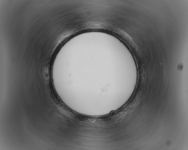 X0000101201218200807251018