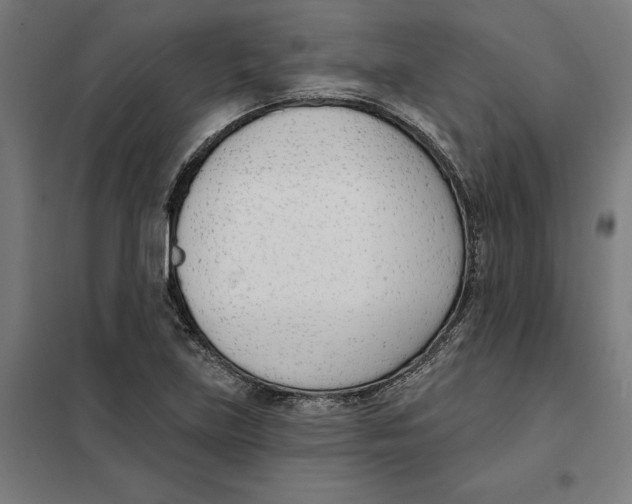 X0000101201219200807251018