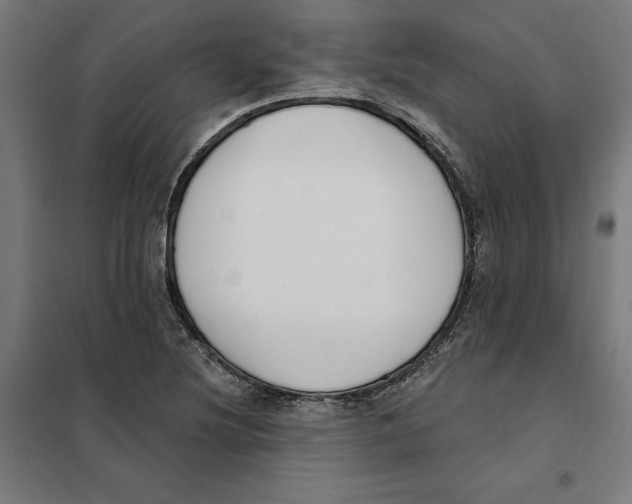 X0000101201220200807251018