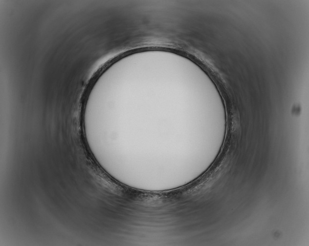 X0000101201222200807251018