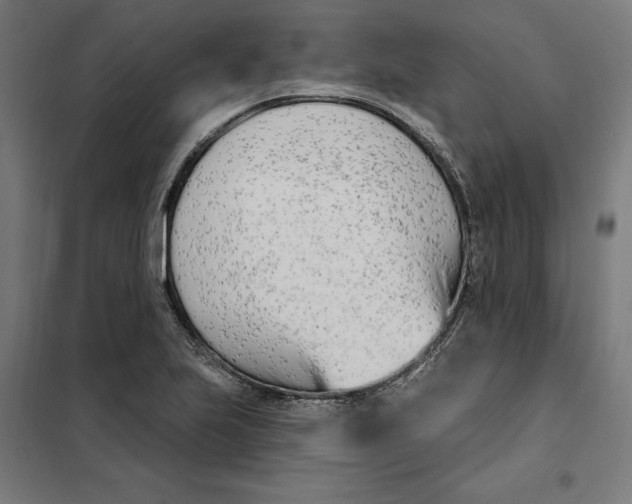 X0000101201223200807251018