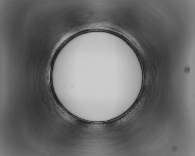 X0000101201224200807251018