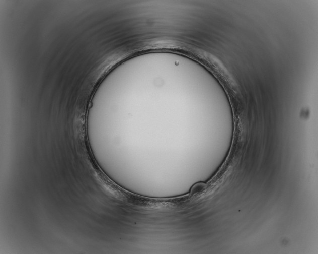 X0000101201225200807251018