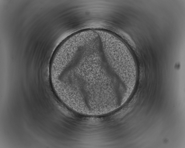 X0000101201226200807251018