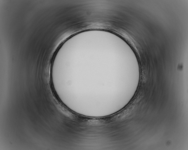 X0000101201227200807251018