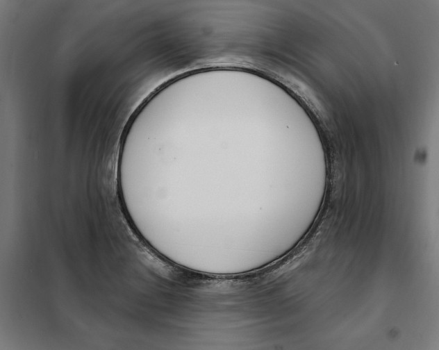 X0000101201228200807251018