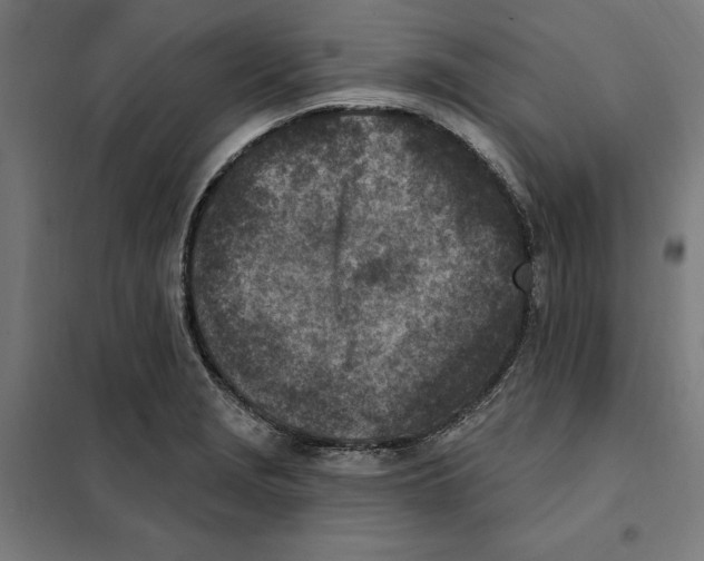 X0000101201229200807251018