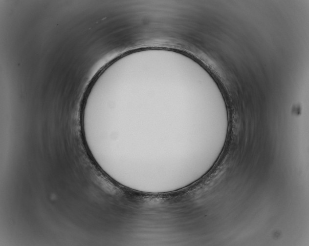 X0000101201230200807251018