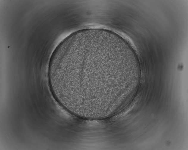 X0000101201231200807251018