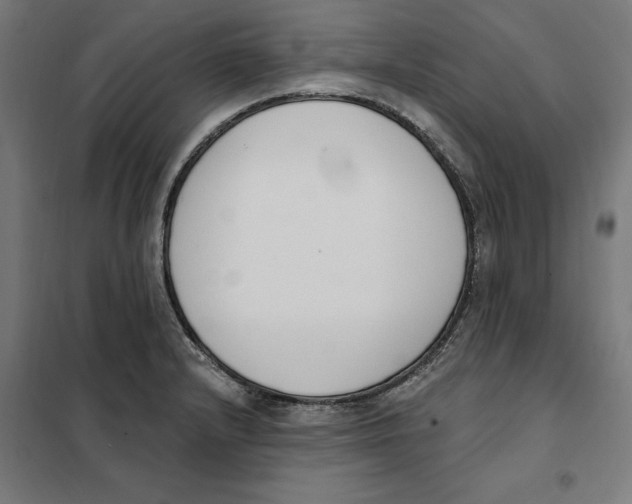 X0000101201232200807251018