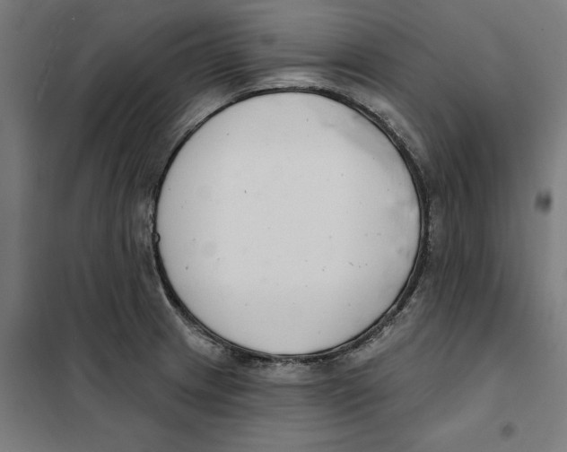 X0000101201233200807251018